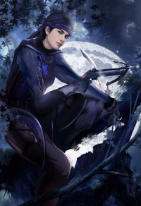 重生之巾帼女将